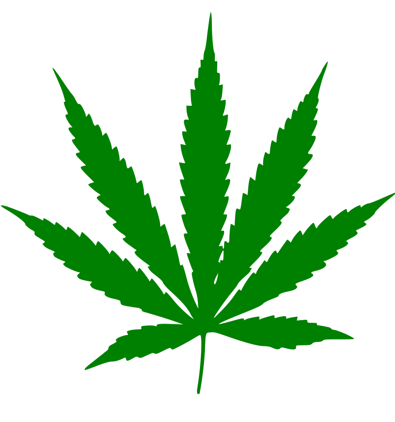 A colorful cannabis leaf icon to represent the strain database